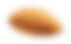 Almond piece for Crizbe Almond Crunch Stick