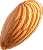 Nut Accent