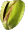 Nut Accent